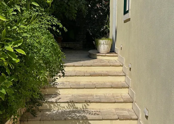 Apartament Donilena *